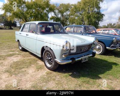 Old white popular Peugeot 404 sedan 1960 - 1975 in the countryside. Nature, grass, trees. Classic car show. Copyspace. Stock Photo