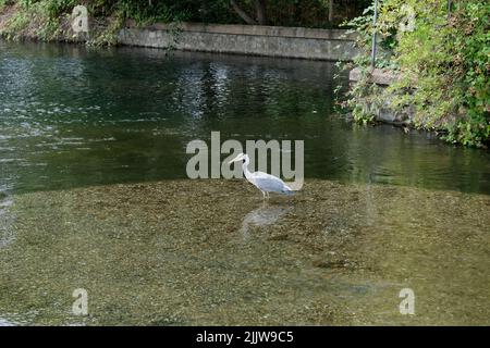 London, UK. 28th July 2022. Drought warnings for parts of the UK. Reservoirs at Walthamstow Wetlands. Credit: Matthew Chattle/Alamy Live News Stock Photo