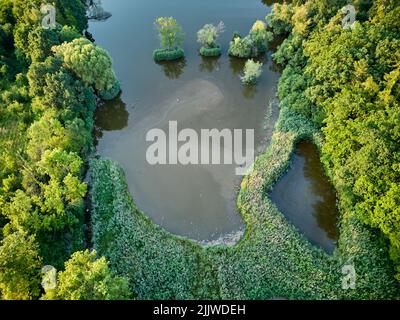 Aerial view on a clean nature lake and trees around, no people, sunset time, July Stock Photo
