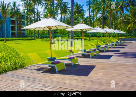 Beautiful tropical beach front hotel resort with swimming pool, umbrella, coconuts tree sun-loungers, palm trees during a warm sunny day, paradise des Stock Photo