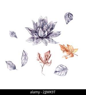 Vector set of hand drawn lotus flowers and leaves. Sketch floral botany ...