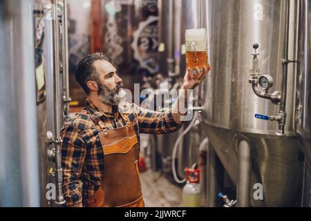 Bearded brewery master holding glass of beer and evaluating its visual characteristics. Small family business, production of craft beer. Stock Photo