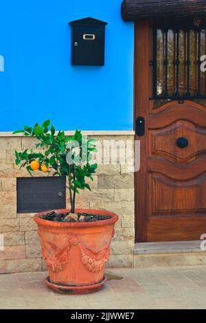 photo in front of a traditional house with orange in spain Stock Photo