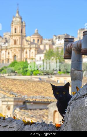 A vertical shot of the black cat on the roofs of Modica, an old Sicilian town in Italy Stock Photo