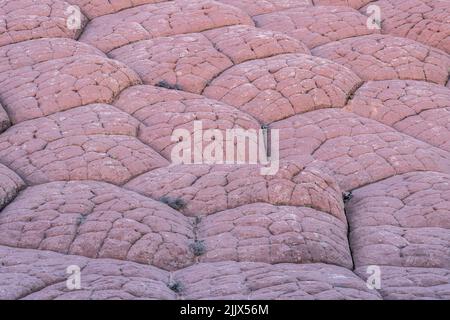 Abstract relief rough gritty surface of background texture Stock Photo