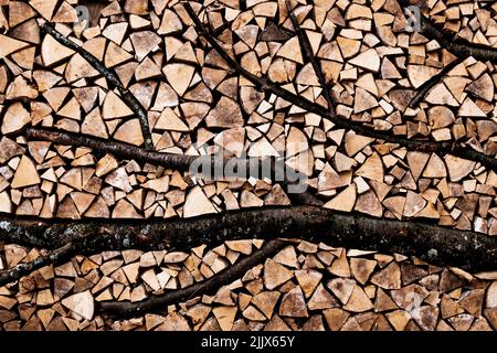 Full frame of thick tree log with dark branches near heap of dry woods stacked in rural area of countryside Stock Photo
