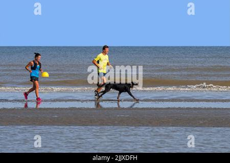 Male and female jogger running on sandy beach with unleashed / off lead dog along the North Sea coast in summer Stock Photo