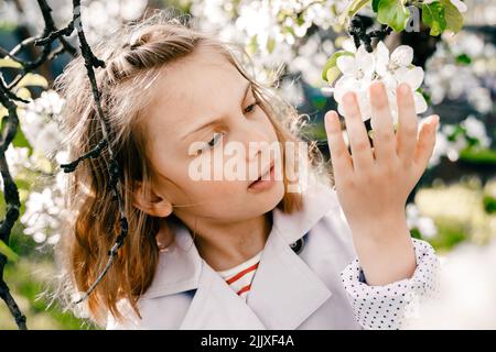 Little girl is walking in spring garder with apple trees and white flowers. Romantic stylish spring kid in coat. Blooming in sunny park. Beautiful nat Stock Photo