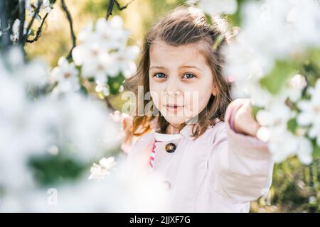 Little girl is walking in spring garder with apple trees and white flowers. Romantic stylish spring kid in coat. Blooming in sunny park. Beautiful nat Stock Photo