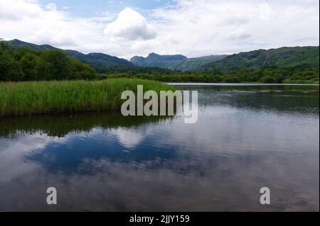 In the far distance, the Langdale Pikes, from Elterwater, Langdale, Lake District National Park, England. Stock Photo