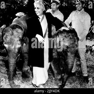 Madame Ambassador Presents Elephants To Zoo -- Madame Vijaya Pandit, India's Ambassador to the United States, Stands smiling between two baby Elephants as she presents them to the National Zoological Park today as a gift from Prime Minister Jawaharlal Nehru of India. The newly-arrived babies are 'Shanti' (left), a 2 1/2 year old female, and 'Ashok', a two year old male. The trainer who brought them from Bombay to New York by ship and to Washington by truck, Baby Jan stands at right. April 16, 1950. (Photo by AP Wirephoto). Stock Photo