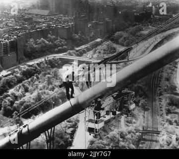 Spring Cleaning -- Painters using an electrically operated scaffold, called 'spider staging,' work on a cable high above the Manhattan side of the George Washington Bridge as part of a force of 50 carefully picked workmen who yesterday started a two-year painting job. The project will cost $150,000, including $35,000 for 11,000 gallons of paint. In background are apartment buildings along Riverside Drive, and below the workmen are the West Side Highway and the New York Central Railroad tracks. May 08, 1954. (Photo by AP Wirephoto). Stock Photo