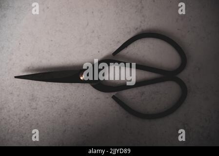 Metal gardening scissors on concrete background Stock Photo
