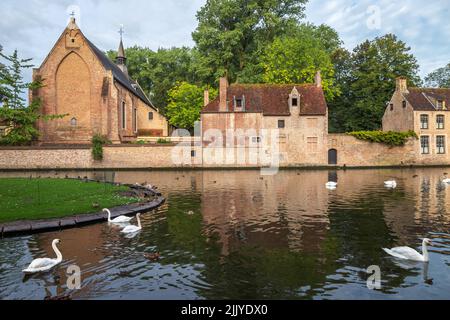 Swans line floating on Brugge canal waters with reflection, Belgium Stock Photo