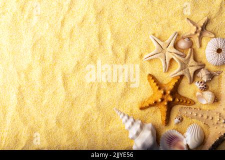 Vacations and summer time concept with starfish and sea shells on a clear yellow beach sand. Sea and ocean vacation background Stock Photo