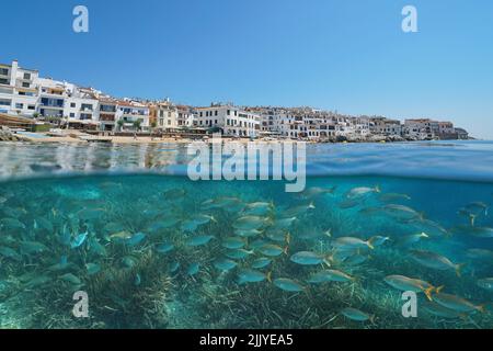 Spanish town on the Mediterranean coast with fish and seagrass underwater sea, Spain, Costa Brava, Calella de Palafrugell, split level view Stock Photo