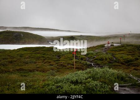 Snow patches around the hiking trail creating fog near Storulvan mountain station, early July, Jamtland, Sweden Stock Photo