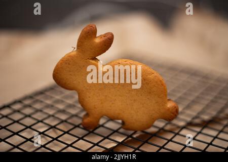 Easter bunnies gingerbread freshly baked on the table Stock Photo