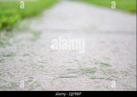 Grass clippings strewn across a residential sidewalk after mowing.  Stock Photo