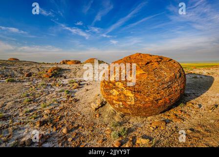 Red spherical sandstone concretions in the Red Rock Coulee Natural area in southern Alberta Stock Photo