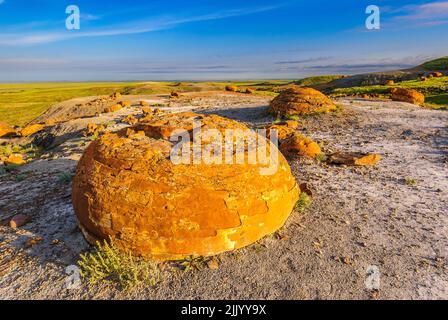 Red spherical sandstone concretions in the Red Rock Coulee Natural area in southern Alberta Stock Photo
