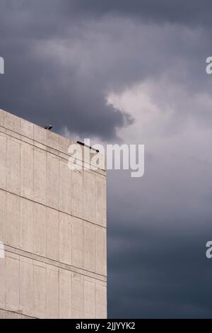 Corner of a building details of tall buildings over 20 stories Stock Photo