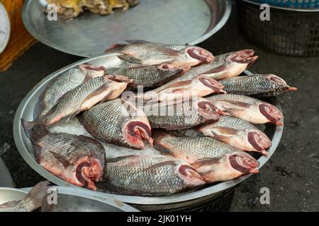 Animal products for cooking are sold at the street food market. Fresh fish meat is a popular traditional Thai food in the morning market. Stock Photo