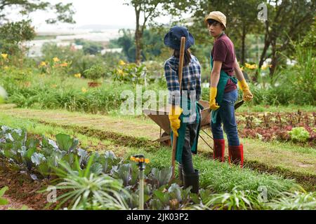 Young Asian couple working together in their garden Stock Photo