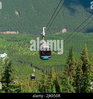 Cable car of Banff Gondola above pine tree forest, Banff national park, Alberta, Canada. Stock Photo