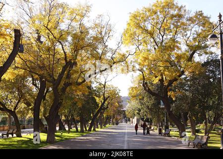 Baku old boulevard in the early morning. Baku. Azerbaijan. Stock Photo