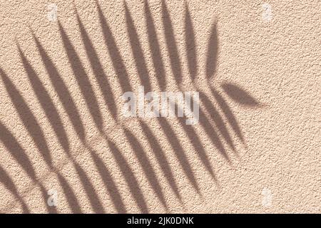Art decoration, minimal tropical design, pattern. Palm branch with shadow on a beige grunge concrete wall. Light brown natural grainy texture, abstrac Stock Photo