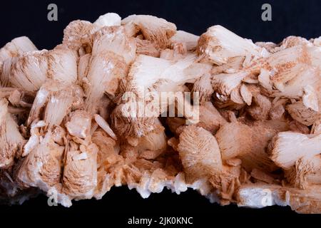 Closeup of Stilbite. Stilbite is a low-temperature secondary hydrothermal mineral. It occurs in the amygdaloidal cavities of basaltic volcanic rocks Stock Photo