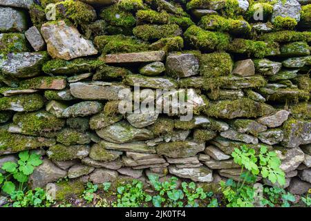 Ancient wall made of stone with moss and wild flowers. Madrid Spain. Stock Photo