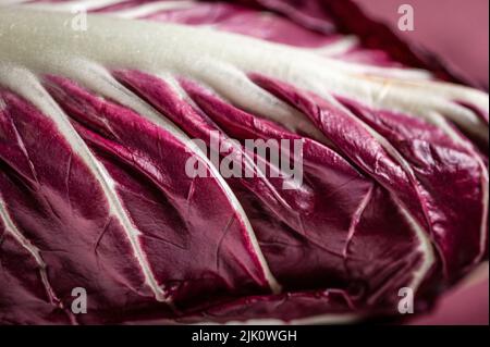 Red chicory Stock Photo
