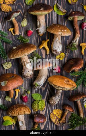 Wild Raspberry and Wild Mushroom Pattern Stock Photo
