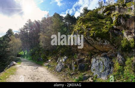 Path in the forest between pine trees and large rocks with sun rays in the sky. Guadarrama Madrid. Spain. Stock Photo