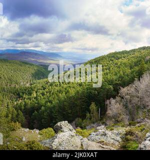 Green landscape of wooded valley with pine trees and large conifers, mountains in the background and storm clouds. Madrid. Stock Photo