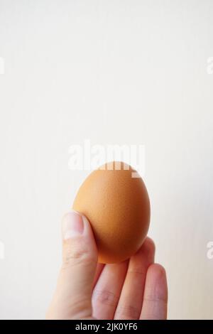 Brown chicken egg in a female hand on a white background. Stock Photo