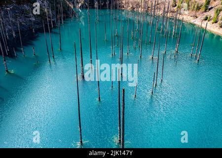 Aerial of the Kaindy Lake with its dead trees, Kolsay Lakes National Park, Tian Shan mountains, Kazakhstan, Central Asia, Asia Stock Photo