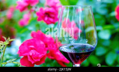 A glass of red wine on a background of blooming roses in close-up. Focus on the foreground Stock Photo