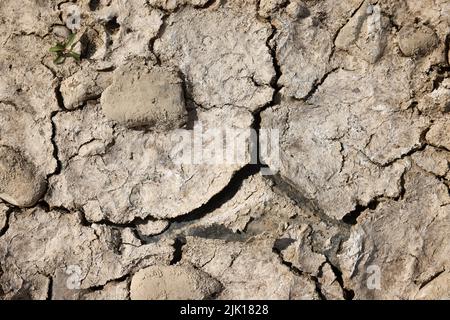 Duesseldorf, North Rhine-Westphalia, Germany - Dry riverbed in the Rhine. After a long drought, the Rhine level drops today to a level of 71 cm. Inlan Stock Photo