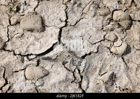 Duesseldorf, North Rhine-Westphalia, Germany - Dry riverbed in the Rhine. After a long drought, the Rhine level drops today to a level of 71 cm. Inlan Stock Photo