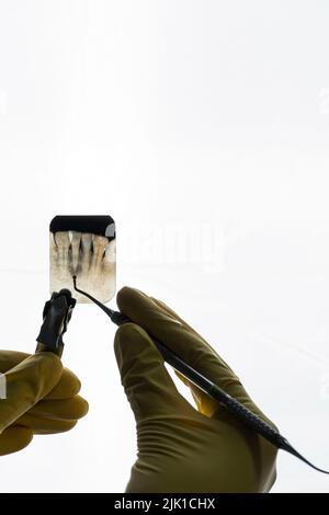 dentist holding dental radiography cut out isolated on white background Stock Photo