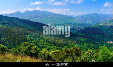 Green landscape with ferns in the foreground and aerial view of the mountain. Santander. Stock Photo