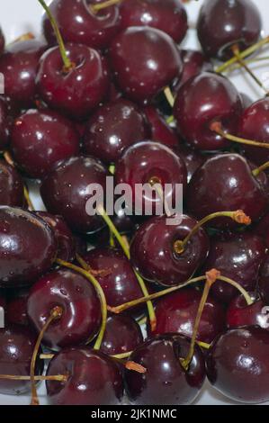 Quantity of Kentish Cherries Stock Photo
