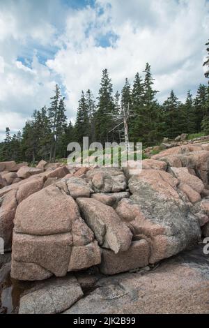 Weathered granite boulders along the coast in Acadia National Park, Mount Desert Island, Maine, USA Stock Photo