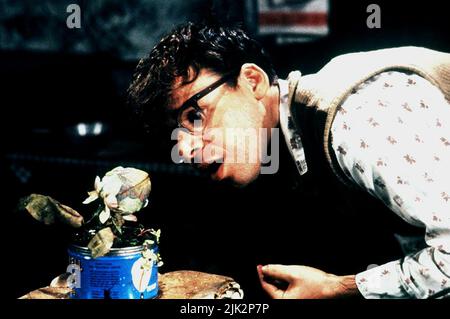 RICK MORANIS, LITTLE SHOP OF HORRORS, 1986, Stock Photo