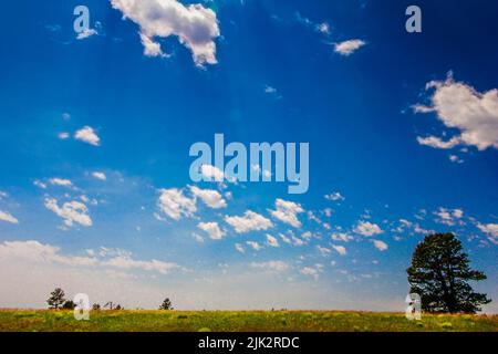 Views of Wind Cave National Park in Summer, South Dakota Stock Photo