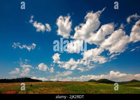 Views of Wind Cave National Park in Summer, South Dakota Stock Photo