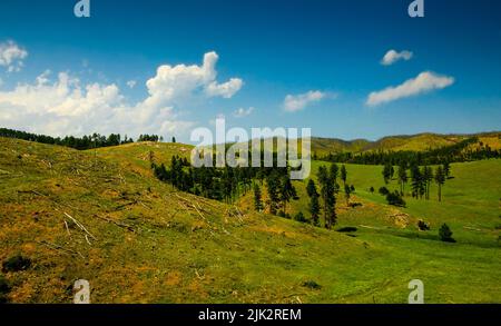 Views of Wind Cave National Park in Summer, South Dakota Stock Photo